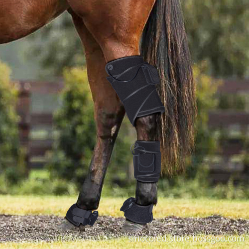 660nm 850nm Red Light Therapy Veterinary Instrument for Horse Leg Care
